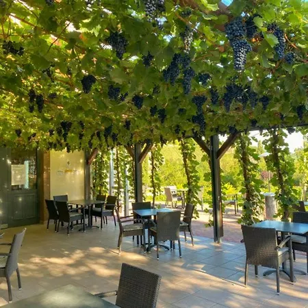 Weingut Und Gutsschaenke Marco Daun