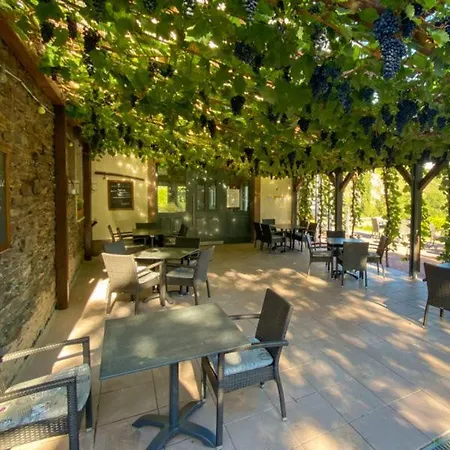 Weingut Und Gutsschaenke Marco Daun Apartment